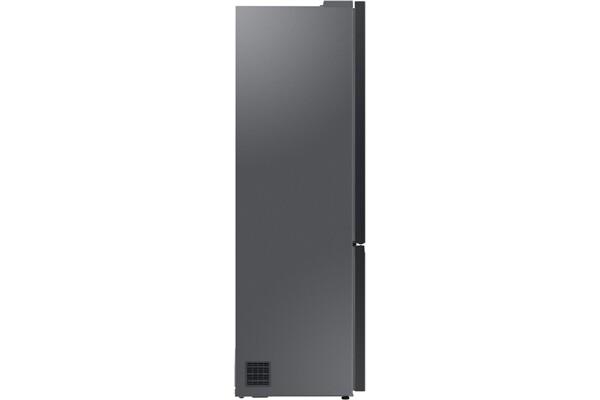 Samsung RL38C7B5BS9 Bespoke