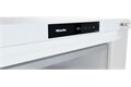 Miele FN 4778 C ws