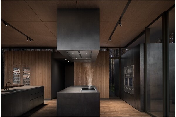 Gaggenau AC 482181 Deckenlüftung