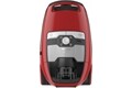 Miele Blizzard CX1 Cat & Dog | Mangorot
