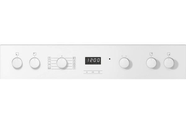 Miele H 2455 E Active