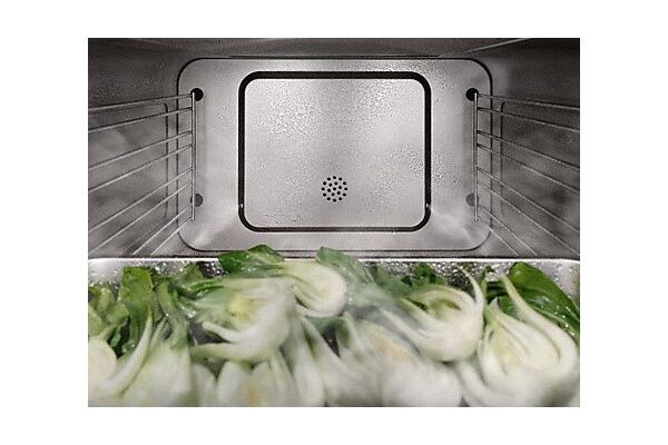 Miele DG 2740