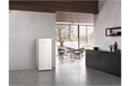 Miele FN 4824 C ws